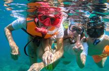 From Abu Dhabi: Snorkeling with turtles in Fujairah with BBQ 