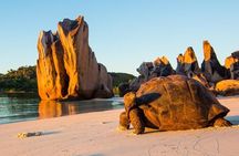 Half day Curieuse and St Pierre island Seychelles