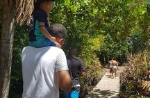 Half day Curieuse and St Pierre island Seychelles