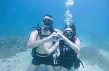 Try Scuba Diving & snorkeling with BBQ lunch & Transfer