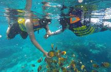Swim with Manta Rays : Snorkeling Day Trip from Bali