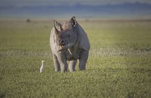 3 Day tour Tarangire, Ngorongoro crater & Lake Manyara 