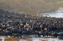 4 Days in the Wild: Explore Cultural Tour, Serengeti & Ngorongoro