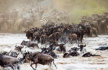 4 Days in the Wild: Explore Cultural Tour, Serengeti & Ngorongoro