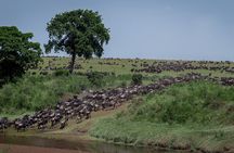 4 Days in the Wild: Explore Cultural Tour, Serengeti & Ngorongoro