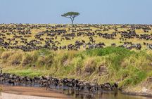 4 Days in the Wild: Explore Cultural Tour, Serengeti & Ngorongoro