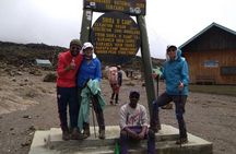 8 Days Mount Kilimanjaro Climbing via Lemosho Route