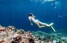 Swim With Manta Rays and Day Tour to Lembongan from Bali