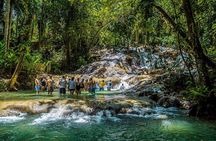 Private Tour to Dunns River Falls & Bob Marley Nine Mile w Entry