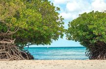Small-Group Aruba Scuba Diving for Non-Certified Divers