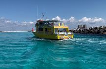 Dolphin & Sunset Cruises