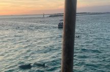 Dolphin & Sunset Cruises