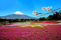 Full Day Private Tour in Mt. Fuji and Hakone