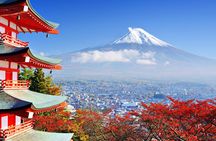 Mt. Fuji & Hakone Private Day Tour with English-Speaking Driver