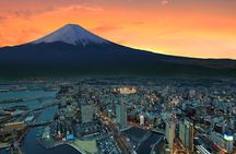 Mt. Fuji & Hakone Private Day Tour with English-Speaking Driver