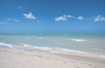 Excursion to Celestun, Swimming, Hiking & Boat Ride 