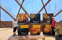  Waitomo GlowWorm cave & Sanctuary Mountain Ancient Walk Tour