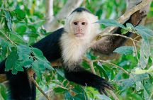 Lake Sandoval Wildlife Adventure in Tambopata National Reserve