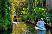 Winter Park Paddle Board Adventure