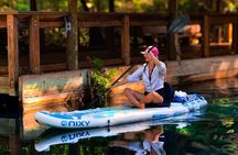 Silver Springs Paddle Board & Kayak Manatee & Wildlife Adventure 