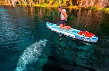 Silver Springs Paddle Board & Kayak Manatee & Wildlife Adventure 