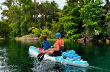 Rainbow Springs Crystal Clear Paddle Board Eco Tour