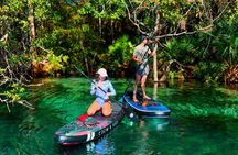 Rainbow Springs Paddle Adventure