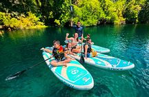 Rainbow Springs Crystal Clear Paddle Board Eco Tour