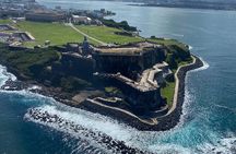 Private 25-Minute Helicopter Tour Across Puerto Rico