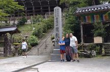 Himeji Full-Day Private Tour with Government-Licensed Guide