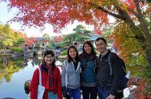 Himeji Half-Day Private Tour with Government-Licensed Guide