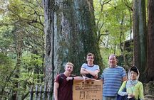 Himeji Half-Day Private Tour with Government-Licensed Guide