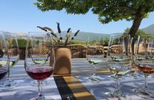 Kefalonia Wine Adventure in 3 Wineries With Tastings