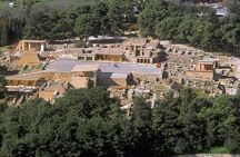 Archaeological Museum and Κnossos Palace Guided Tour Half Day