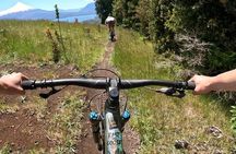 Puerto Varas Mountain Biking Experience