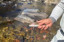 Smoky Mountains National Park Half Day Fly Fishing
