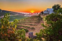 Wine Tasting Audio Tour - Paso Robles CA