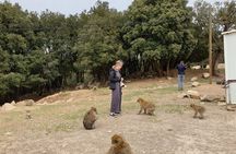 Private Day Trip to Middle Atlas from Fes