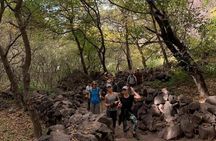 Berber villages : Atlas Mountains Day Hike from Marrakech 