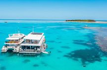 Lady Musgrave Day Trip from Bundaberg Including Snorkeling
