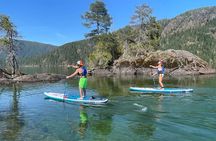 1.5 hour guided SUP tour on the pristine waters of Cowichan Lake
