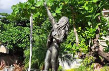 Private Tour in Dunns River Falls