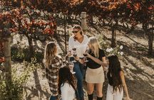 Small Group: Ultimate Napa & Sonoma Wine Tour from San Francisco