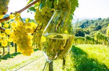St Paul de Vence, Antibes & Wine Tasting from Cannes