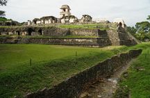 Tour in the Archaeological Zone of Palenque With Guide Included