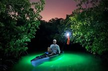Guided Glow LED Kayak Sunset Activity in Bonita Springs
