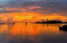 Guided Glow LED Kayak Sunset Activity in Bonita Springs