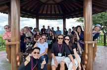 DMZ Tour from Seoul: NK Defector, 3rd Tunnel & Suspension Bridge