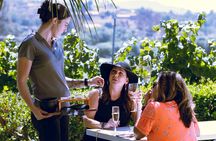 Private Luxury Transportation Experience - Sonoma