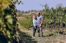 Private Luxury Transportation Experience - Sonoma